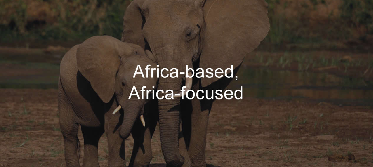 Slide 6